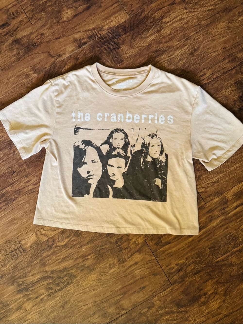 The Cranberries Crop Top - Beige